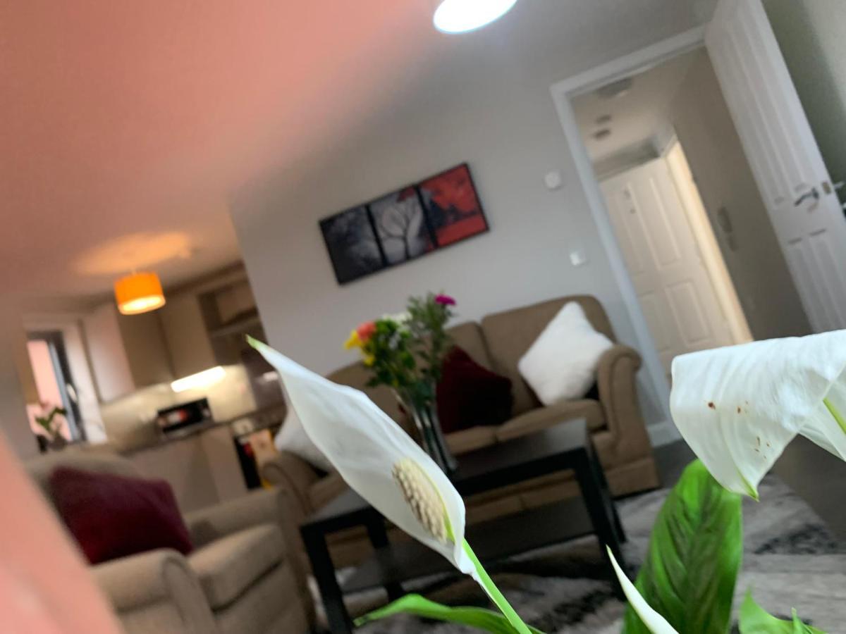 Apartment Aqua Dreams - Serviced Luxury Modern Centre 2 Bed
